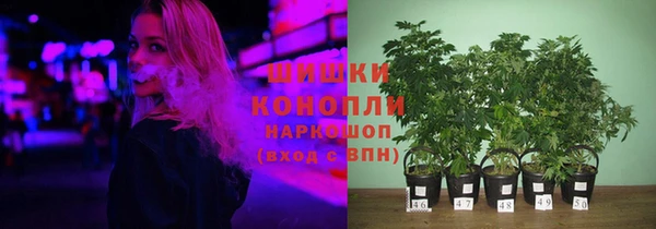 Альфа ПВП Алзамай